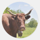 Recherche de vache brune autocollants Animal