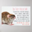 Recherche de rats posters Mignonne