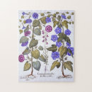 Recherche de diagramme puzzles Botanique