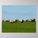 Recherche de ne soyez pas un mouton posters Amoureux des moutons
