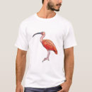 Zoek naar waadvogel posters Ibis