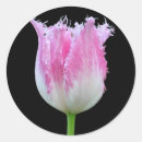 Zoek naar roze tulpen stickers Schoonheid