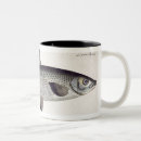 Recherche de andrea tasses 1743 1805