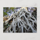 Recherche de cambodge cartes postales Voyage