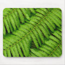 Recherche de feuille vert tapis souris Macro