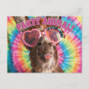 Recherche de ânes cartes postales Animal