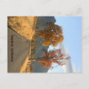 Recherche de doré cartes postales Californie