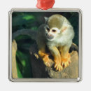 Recherche de petit singe ornements Animal