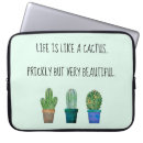 Recherche de sympas coques Cactus