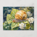 Recherche de escargots cartes postales Lent