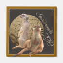 Recherche de savane magnets Faune