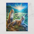 Recherche de harmonie cartes postales Imaginaire
