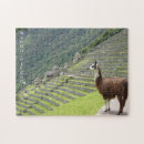 Zoek naar inca puzzels South america
