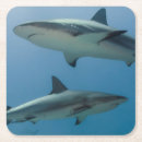 Recherche de récif dessous de verres Bleu