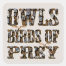 Recherche de hibou en vol autocollants Oiseau