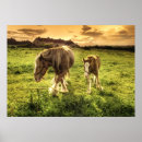 Recherche de consommation posters Herbe