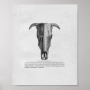 Recherche de crâne de taureau posters Vache