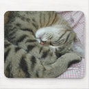 Recherche de maladroit tapis souris Drôle