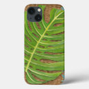 Recherche de paume coques Feuille
