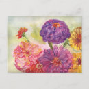 Recherche de zinnia cartes postales Floral