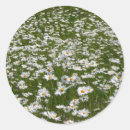 Zoek naar velden stickers Floreel
