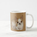 Recherche de chiots de chiwawa tasses Chiwawas