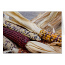 Recherche de assortiment cartes postales Californie