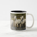 Recherche de france tasses Cheval