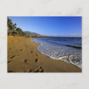 Recherche de état de hawaii cartes postales Tropical
