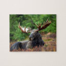 Recherche de moose puzzles Faune