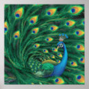 Zoek naar moderne vogel kunst Blauw