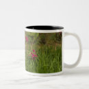 Recherche de statue de jardin tasses Printemps
