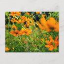 Recherche de vivant cartes postales Floral