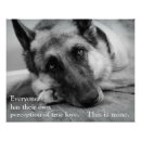 Recherche de bergers posters Chien de berger allemand
