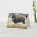 Recherche de bison vœux cartes Buffle