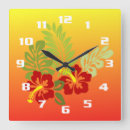 Zoek naar tropische klokken Hawaii