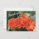 Recherche de gerbera vœux cartes Joli