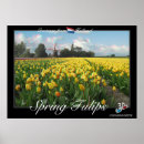 Recherche de 3d posters Floral