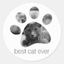 Recherche de pawprints autocollants Empreinte de patte