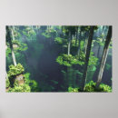 Recherche de protection de lis posters Jardin