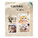 Recherche de animaux kawaii posters Toute personne
