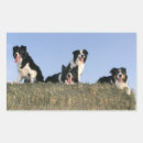 Recherche de chien bord autocollants Chiot