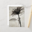 Zoek naar vintage flowers briefkaarten Bloem
