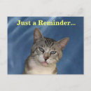 Recherche de animaux de durer cartes postales Chat aux yeux bleus