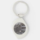 Recherche de cheval gris porteclés Animaux