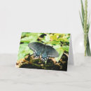 Recherche de ailes papillon vœux cartes Noir