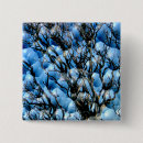 Zoek naar boom buttons Blauw