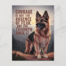 Recherche de bergers cartes postales Dog