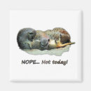 Recherche de cutie magnets Fun