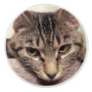 Recherche de cat boutons et poignées de porte Gris